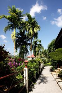 Patong Cottage Resort